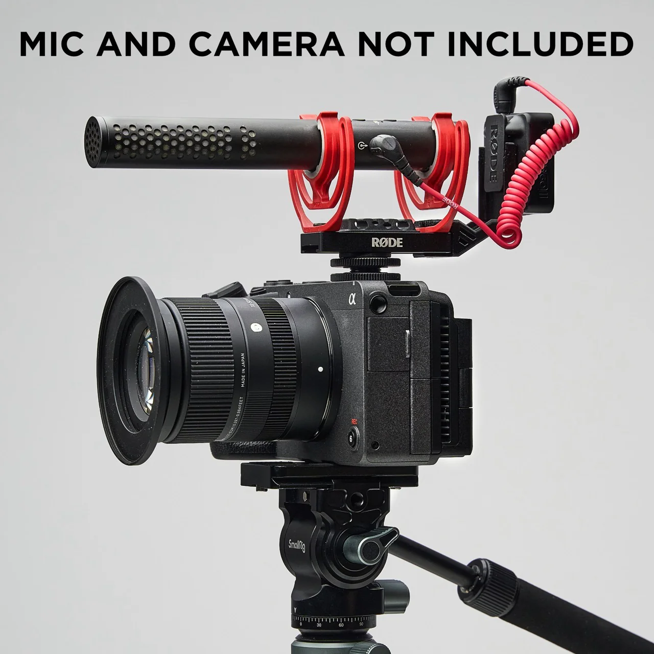 MicBack - Image 3