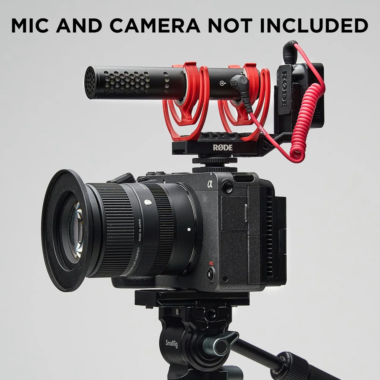 MicBack - Image 4